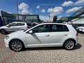 Volkswagen Golf Golf VII 2013 5p 1.6 tdi  Executive 110cv dsg Bianco - thumbnail 15