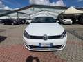 Volkswagen Golf Golf VII 2013 5p 1.6 tdi  Executive 110cv dsg Bianco - thumbnail 12