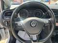 Volkswagen Golf Golf VII 2013 5p 1.6 tdi  Executive 110cv dsg Bianco - thumbnail 8