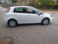 Fiat Punto Evo 1.3 Multijet 75 cv - thumbnail 2