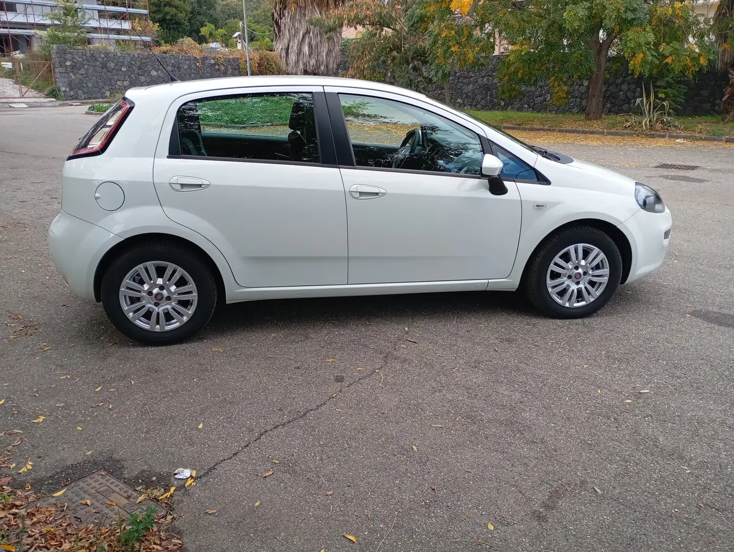 Fiat Punto Evo 1.3 Multijet 75 cv - 2