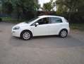 Fiat Punto Evo 1.3 Multijet 75 cv - thumbnail 3