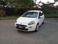 Fiat Punto Evo 1.3 Multijet 75 cv - thumbnail 1