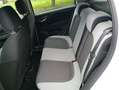 Fiat Punto Evo 1.3 Multijet 75 cv - thumbnail 8