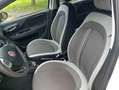 Fiat Punto Evo 1.3 Multijet 75 cv - thumbnail 7