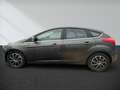 Ford Focus 2.0 TDCi DPF Start-Stopp-System Aut. Titanium - thumbnail 9