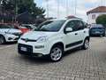 Fiat Panda Panda City Cross 1.0 FireFly Hybrid 70cv S&S Bianco - thumbnail 5