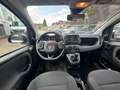 Fiat Panda Panda City Cross 1.0 FireFly Hybrid 70cv S&S Bianco - thumbnail 6