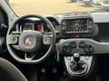 Fiat Panda Panda City Cross 1.0 FireFly Hybrid 70cv S&S Bianco - thumbnail 7