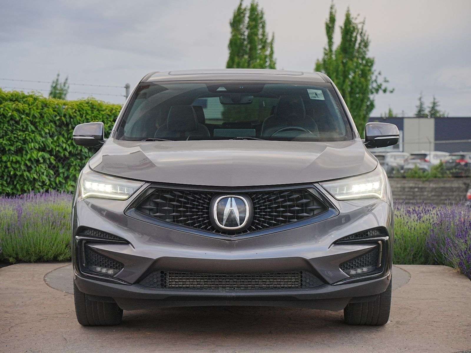 2019 Acura RDX