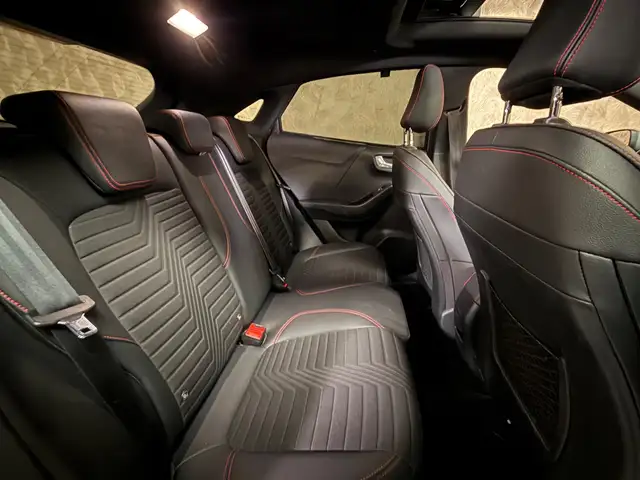 Ford Puma view 13