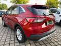 Ford Kuga 2.5 PHEV Titanium NAV*4xSHZ*KLIMAAUT*PDC*CAM Rouge - thumbnail 5