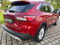 Ford Kuga 2.5 PHEV Titanium NAV*4xSHZ*KLIMAAUT*PDC*CAM Rouge - thumbnail 6