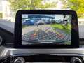 Ford Kuga 2.5 PHEV Titanium NAV*4xSHZ*KLIMAAUT*PDC*CAM Rouge - thumbnail 12