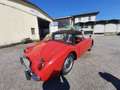 MG MGA MGA 1.6 RESTAURO TOTALE Rosso - thumbnail 4