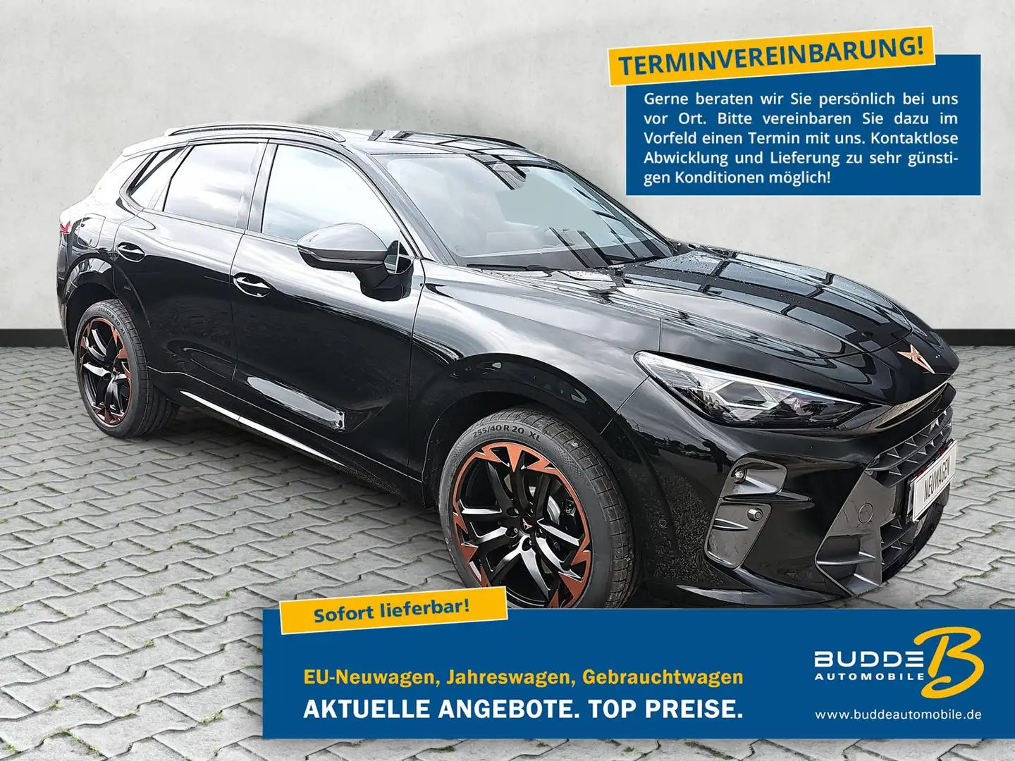 CUPRA Terramar VZ 2.0 TSI DSG 4Drive Matrix Pano Vortex Schwarz - 1