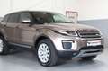 Land Rover Range Rover Evoque SE~Navi~SZH~Tempomat~Panorama - thumbnail 9