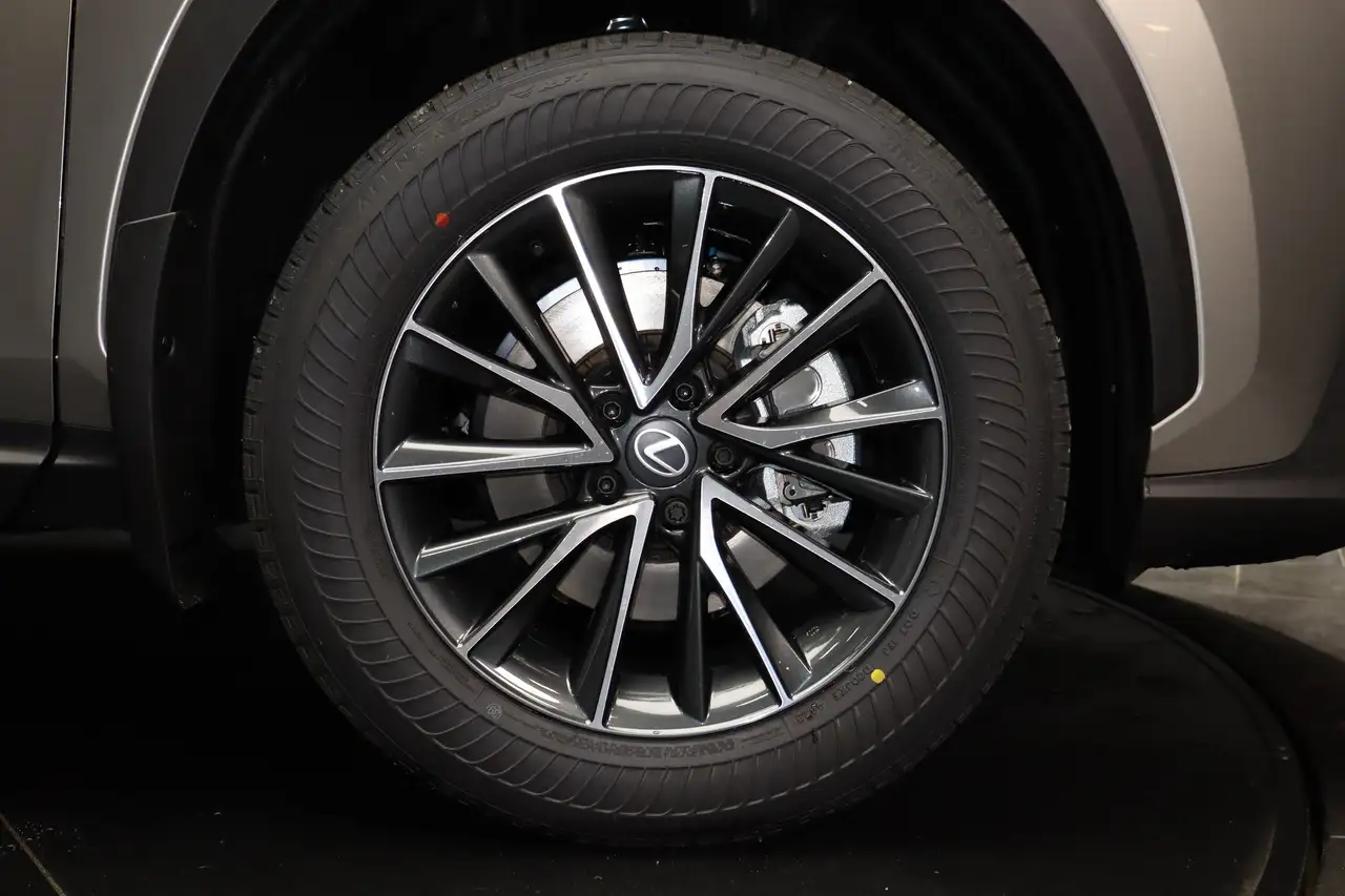 Lexus NX photo Lexus NX