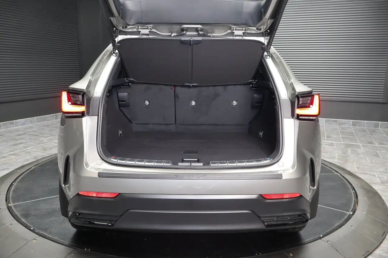 Lexus NX photo Lexus NX