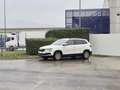 Skoda Karoq Karoq 1.6 tdi Ambition Bianco - thumbnail 4