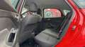 Ford Focus 1.0 SCTI 125CH ECOBOOST STOP\u0026START EDITION 5P Rouge - thumbnail 7