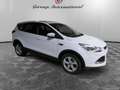 Ford Kuga Kuga 2.0 TDCI 140 CV 4WD Powershift Business Bianco - thumbnail 3