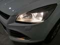 Ford Kuga Kuga 2.0 TDCI 140 CV 4WD Powershift Business Bianco - thumbnail 22