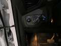 Ford Kuga Kuga 2.0 TDCI 140 CV 4WD Powershift Business Bianco - thumbnail 19