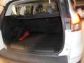 Ford Kuga Kuga 2.0 TDCI 140 CV 4WD Powershift Business Bianco - thumbnail 7