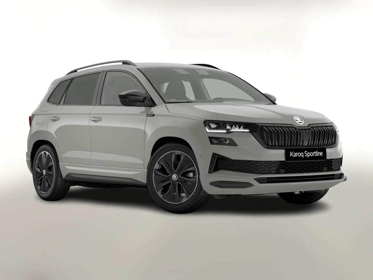 Skoda Karoq Sportline DSG Sportl Matrix Nav 360 Canton ACC ... Grau - 1