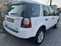 Land Rover Freelander Freelander 2.2 td4 S 150cv Biały - thumbnail 5