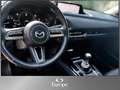 Mazda CX-30 G122 Comfort+/LED/Kamera/Bluetooth/ Rot - thumbnail 12