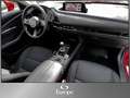 Mazda CX-30 G122 Comfort+/LED/Kamera/Bluetooth/ Rot - thumbnail 9
