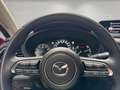 Mazda CX-30 e-SKYACTIV-G 122 AT Exclusive-L. Matrix/360 Kamera Rot - thumbnail 9