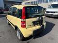 Fiat Panda 1.2 8V Trekking 4X4 Gelb - thumbnail 3