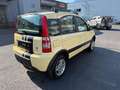 Fiat Panda 1.2 8V Trekking 4X4 Gelb - thumbnail 4