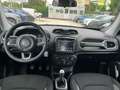 Jeep Renegade 1.0 T3 Limited "OFFERTA" Blu/Azzurro - thumbnail 15