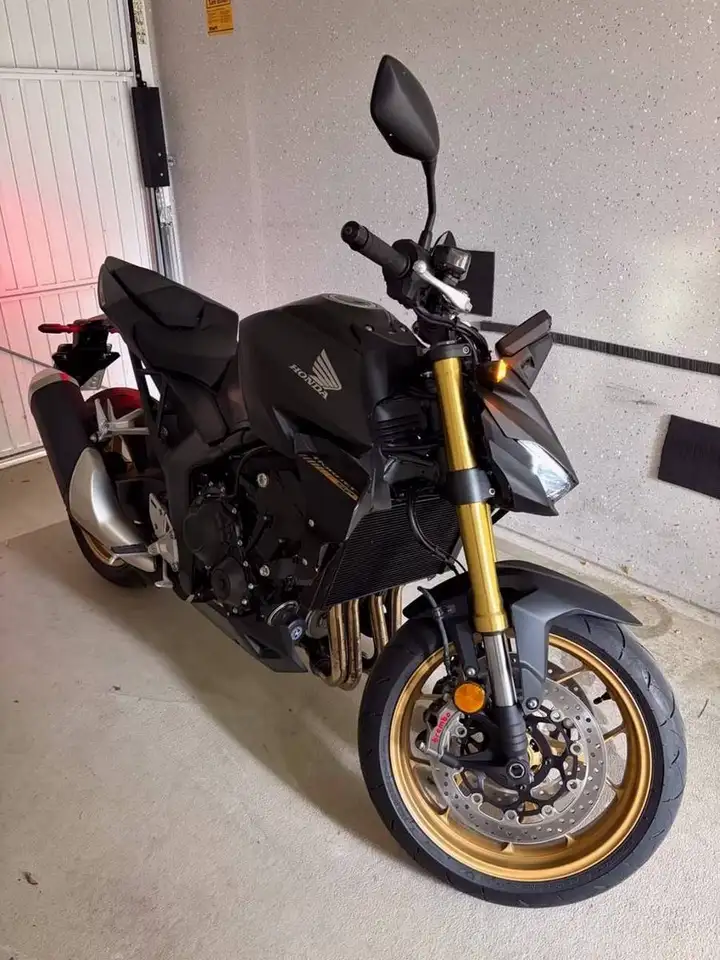 Honda Hornet