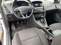 Ford Focus Turnier Cool & Connect Navi Apple CarPlay Android Weiß - thumbnail 6