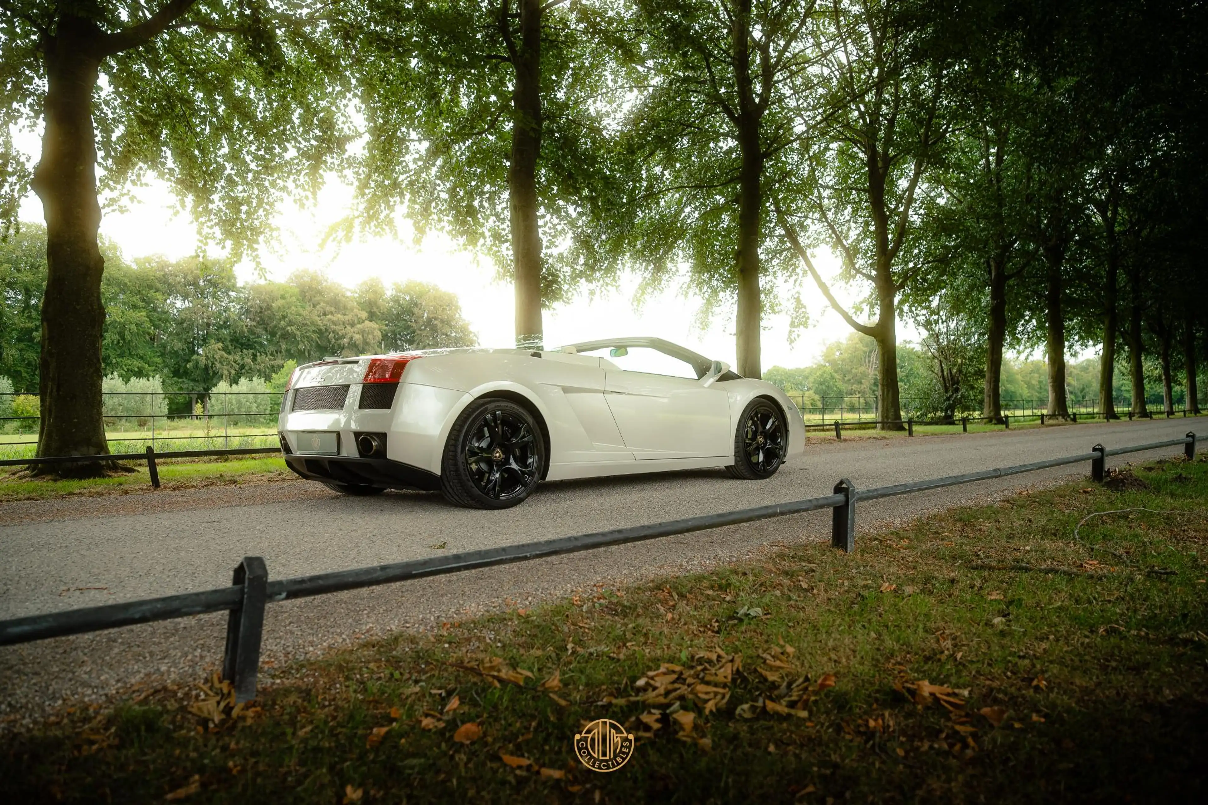 Lamborghini Gallardo 5.0 V10 Spyder — photo 9