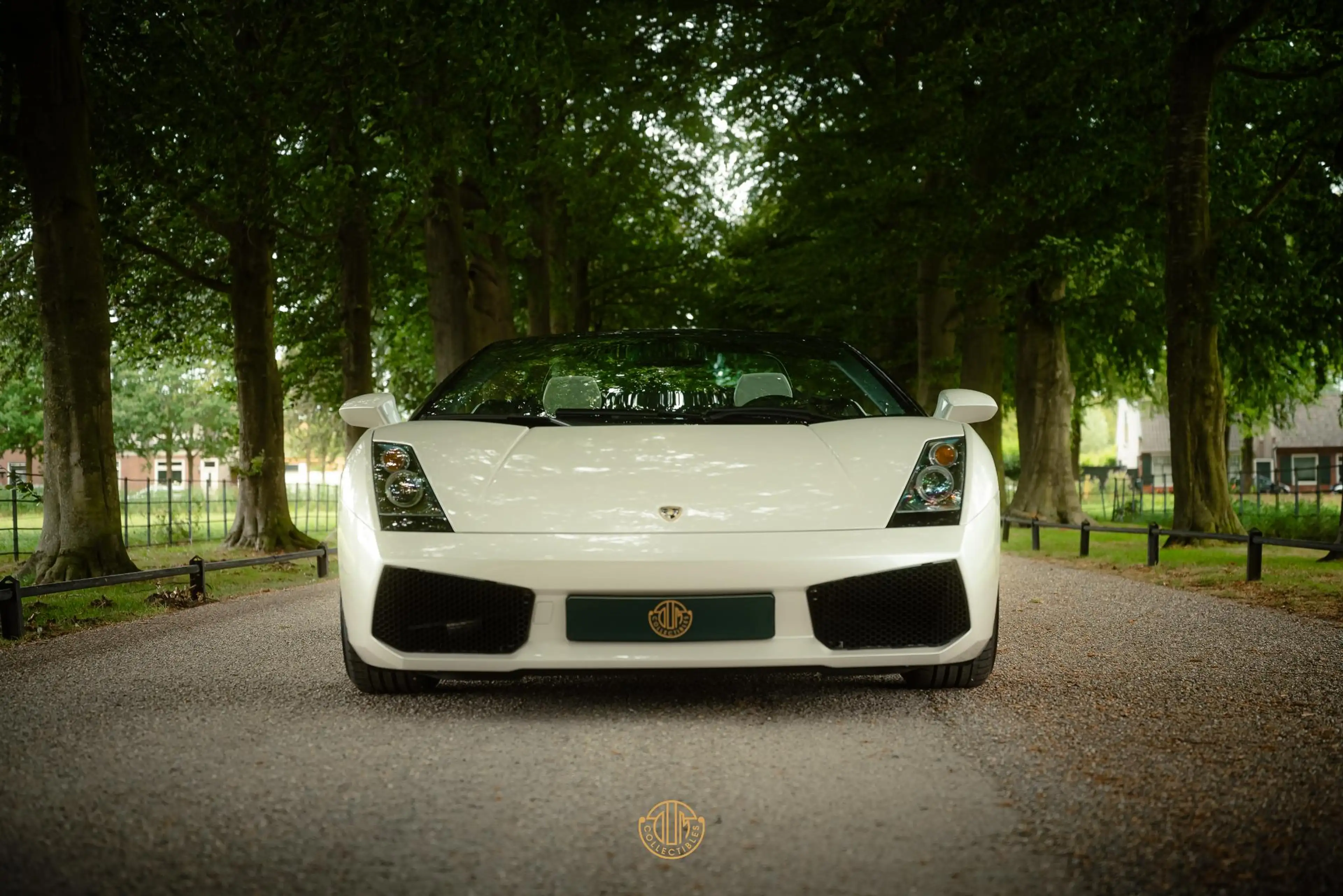 Lamborghini Gallardo 5.0 V10 Spyder — photo 3