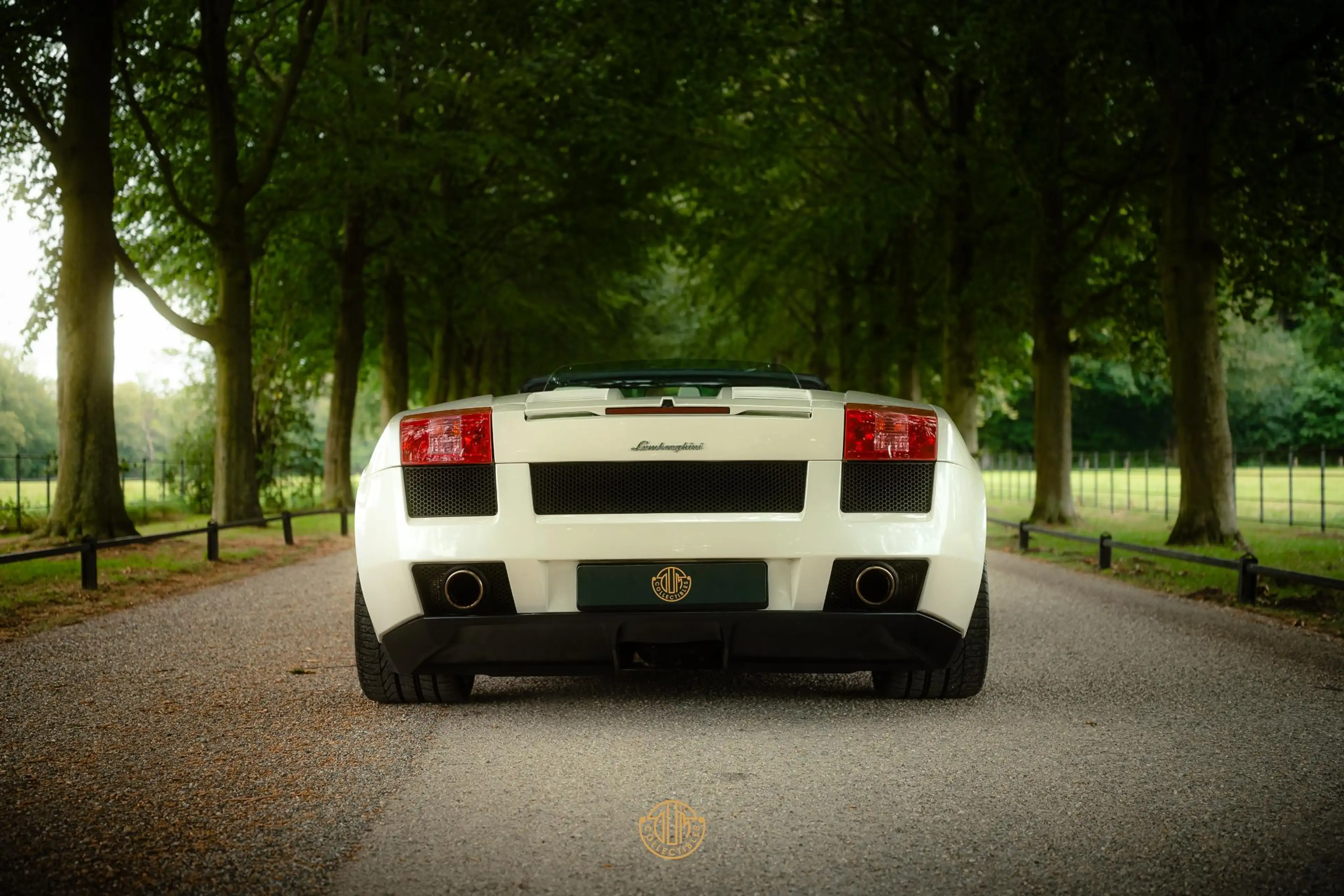 Lamborghini Gallardo 5.0 V10 Spyder — photo 8
