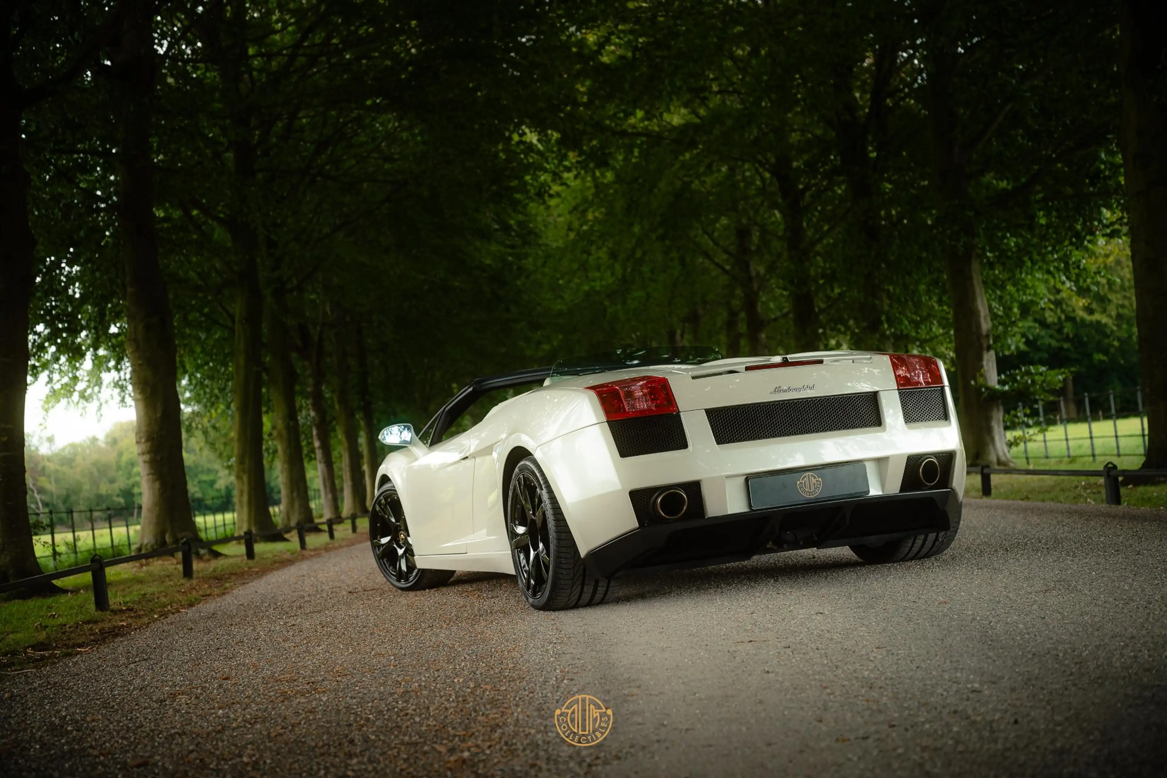 Lamborghini Gallardo 5.0 V10 Spyder — photo 7