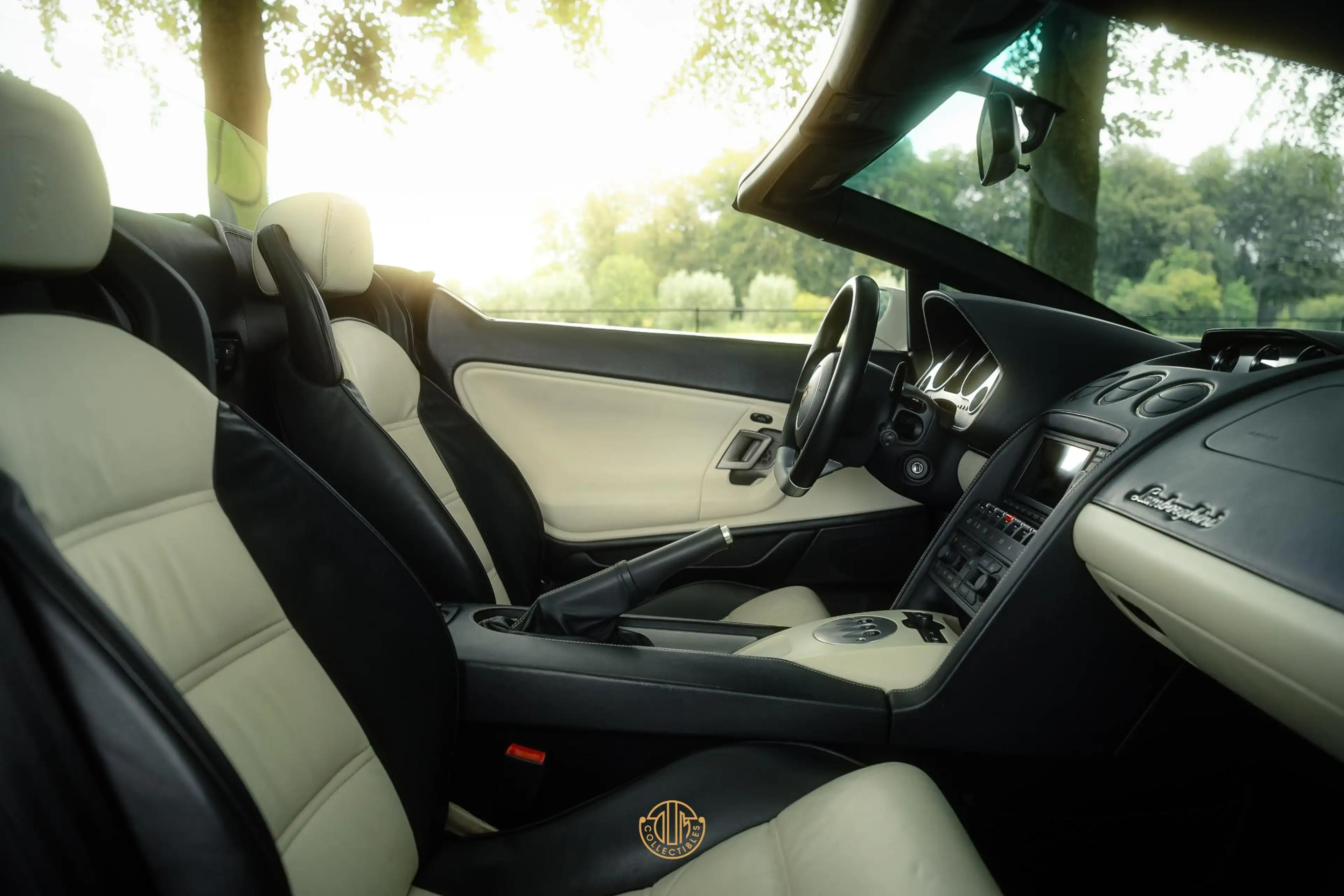 Lamborghini Gallardo 5.0 V10 Spyder — photo 15