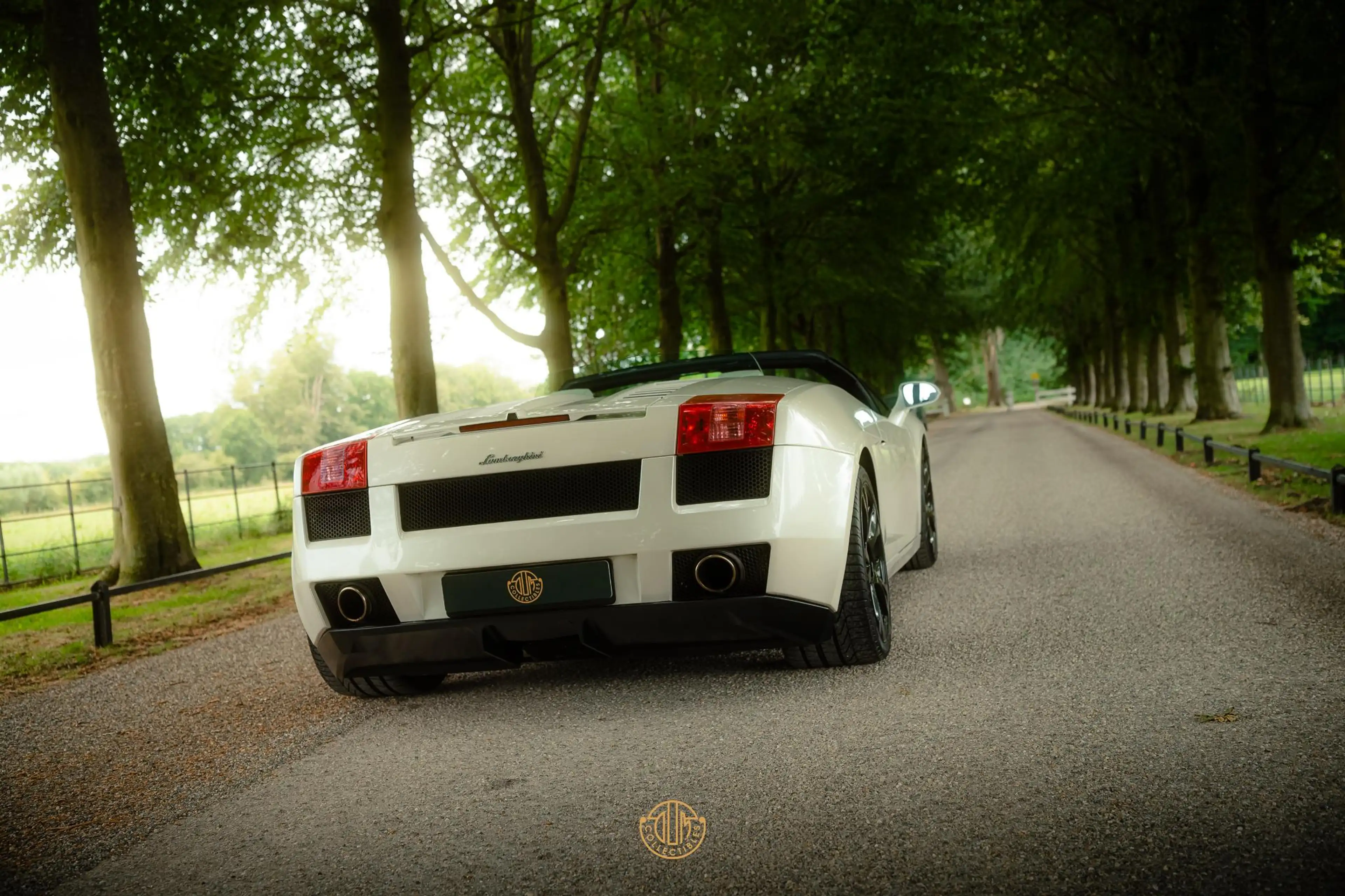 Lamborghini Gallardo 5.0 V10 Spyder — photo 10