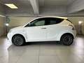 Lancia Ypsilon 1.2 69cv Mya Bianco - thumbnail 2