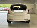 Lancia Ypsilon 1.2 69cv Mya Bianco - thumbnail 4