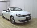 Volkswagen Golf -6 1.6 TDI Cabriolet PDC SHZ Weiß - thumbnail 3