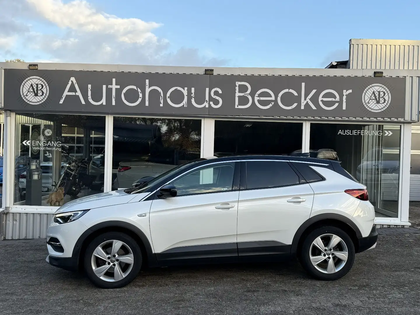 Opel Grandland X Innovation+LED+KAMERA+LEDER+APPLE+ Weiß - 1