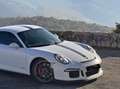 Porsche 911 3.8i GT3 PDK Bianco - thumbnail 14